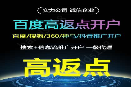 百度推广成功案例分析